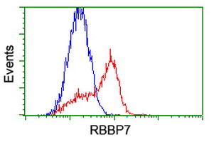 m03708 1 anti rbap46 rbbp7 mouse monoclonal antibody clone id oti4c9 flow cytometry testing 6