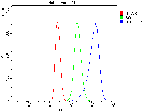 m03727 2 ddx1 primary antibodies fcm testing 9
