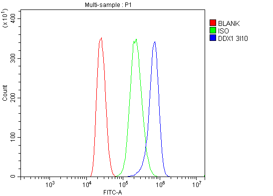 m03727 ddx1 primary antibodies fcm testing 13