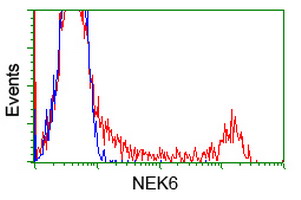 m03740 anti nek6 mouse monoclonal antibody clone id oti5d7 flow cytometry testing 10