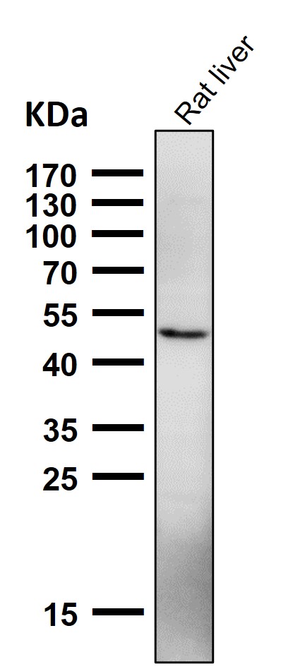 m03765 wb7