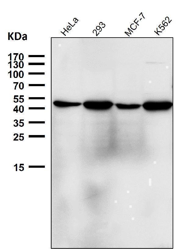 m03765 wb8