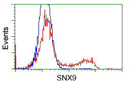 m03796 1 anti sh3px1 snx9 mouse monoclonal antibody clone id oti1b5 flow cytometry testing 6