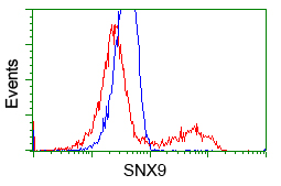 m03796 anti sh3px1 snx9 mouse monoclonal antibody clone id oti1e2 flow cytometry testing 9