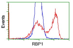 m03820 1 anti rbp1 mouse monoclonal antibody clone id oti2h3 flow cytometry testing 7