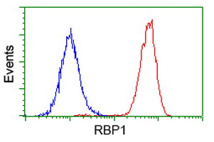 m03820 1 anti rbp1 mouse monoclonal antibody clone id oti2h3 flow cytometry testing 8