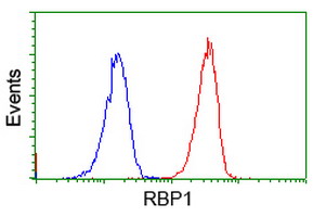 m03820 1 anti rbp1 mouse monoclonal antibody clone id oti2h3 flow cytometry testing 9