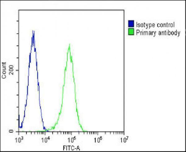m03844 1 anti hsd17b10 antibody center fc testing 4
