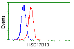 m03844 2 anti erab hsd17b10 mouse monoclonal antibody clone id oti10b4 flow cytometry testing 8