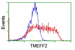 HEK293T cells transfected with either TMEFF2 (Myc-DDK-tagged) overexpress plasmid (Red) or empty vector control plasmid (Blue) were immunostained by anti-TMEFF2 antibody (M03846-1)