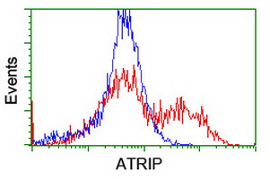 m03862 anti atrip mouse monoclonal antibody clone id oti5e7 flow cytometry testing 12