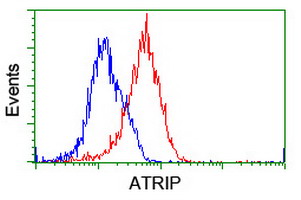 m03862 anti atrip mouse monoclonal antibody clone id oti5e7 flow cytometry testing 13