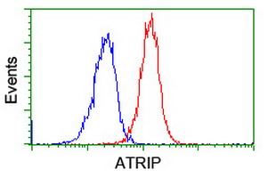 m03862 anti atrip mouse monoclonal antibody clone id oti5e7 flow cytometry testing 14