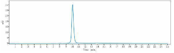 The purity of Anti-KLK2/Kallikrein 2 Reference Antibody (JNJ-69086420)is more than 100%