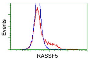 HEK293T cells transfected with either RASSF5 (Myc-DDK-tagged) overexpress plasmid (Red) or empty vector control plasmid (Blue) were immunostained by anti-RASSF5 antibody (M03885)