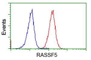 m03885 anti nore1 rassf5 mouse monoclonal antibody clone id oti1h2 flow cytometry testing 4