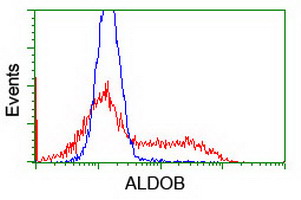 m03893 1 anti aldob mouse monoclonal antibody clone id oti3c6 flow cytometry testing 4