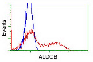 m03893 anti aldob mouse monoclonal antibody clone id oti3e10 flow cytometry testing 4