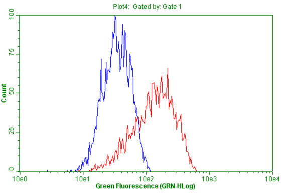 Flow cytometric Analysis of living OVCAR-3 cells