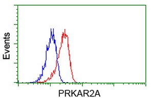 m03911 2 anti pka r2 prkar2a mouse monoclonal antibody clone id oti1a7 flow cytometry testing 9