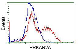 m03911 3 anti pka r2 prkar2a mouse monoclonal antibody clone id oti5f1 flow cytometry testing 5