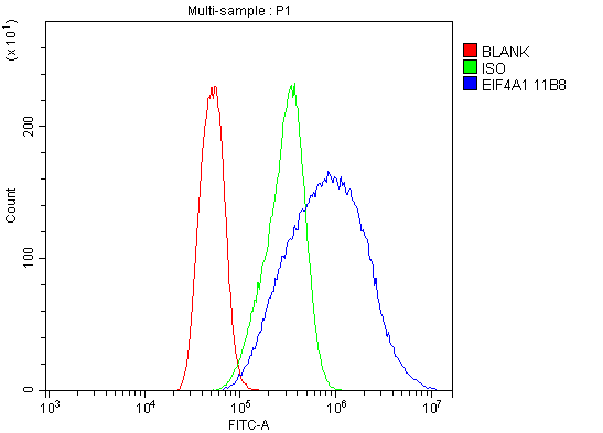 m03922 1 eif4a1 primary antibodies fcm testing 5