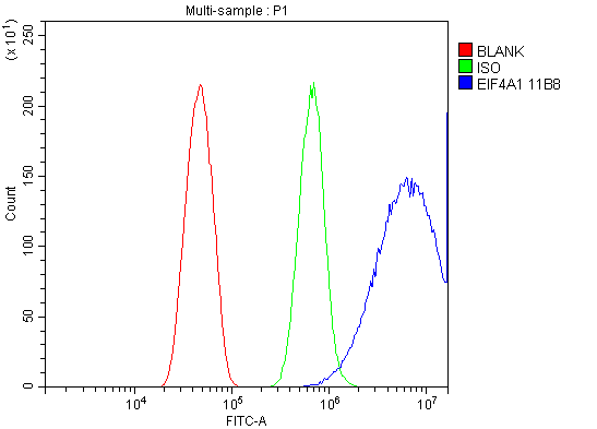 m03922 1 eif4a1 primary antibodies fcm testing 6