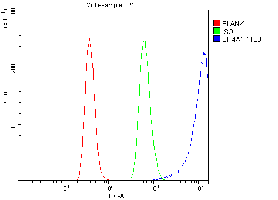 m03922 1 eif4a1 primary antibodies fcm testing 7