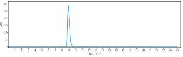 The purity of Anti-AMHR2 Reference Antibody (murlentamab)is more than 100%