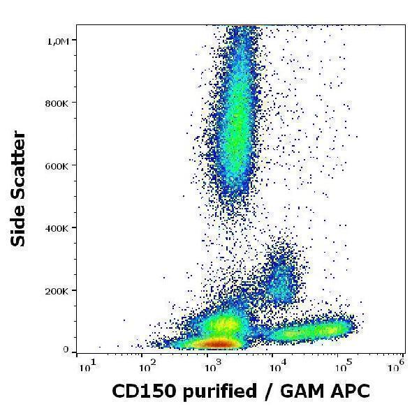 Flow cytometry surface staining pattern of human peripheral whole blood stained using anti-human CD150 (SLAM