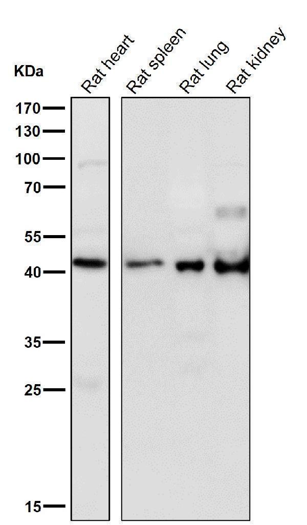 m04018 wb7