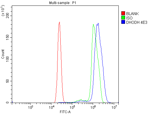 m04035 dhodh primary antibodies fcm testing 3