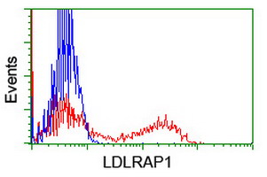 m04054 anti arh ldlrap1 mouse monoclonal antibody clone id oti7e11 flow cytometry testing 4