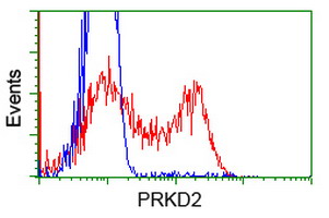 m04056 anti protein kinase d2 prkd2 mouse monoclonal antibody clone id oti5g1 flow cytometry testing 7
