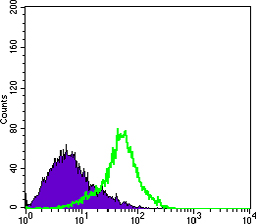 Flow Cytometry validation of MTDH using Anti-Protein LYRIC MTDH Monoclonal Antibody (M04060-1)
