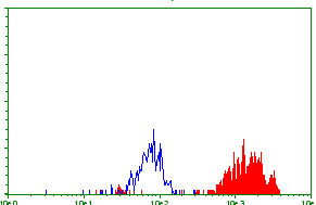 Flow cytometric Analysis of A498 cells