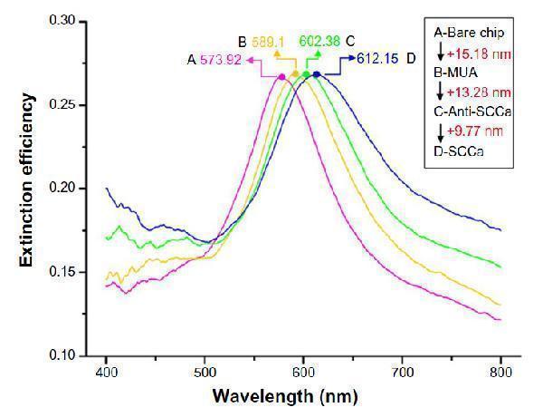 m04067 anti serpinb3 mouse monoclonal antibody clone id oti3c2 a testing 5