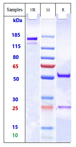 m04070 4 sds page