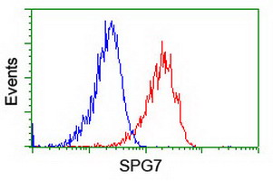 m04104 1 anti spg7 mouse monoclonal antibody clone id oti1c1 flow cytometry testing 4