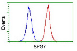 m04104 1 anti spg7 mouse monoclonal antibody clone id oti1c1 flow cytometry testing 5