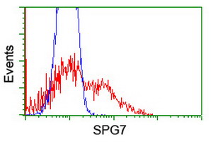 m04104 anti spg7 mouse monoclonal antibody clone id oti1d3 flow cytometry testing 5