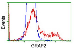 m04115 1 anti grap2 mouse monoclonal antibody clone id oti1g2 flow cytometry testing 6