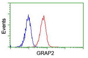 m04115 1 anti grap2 mouse monoclonal antibody clone id oti1g2 flow cytometry testing 7