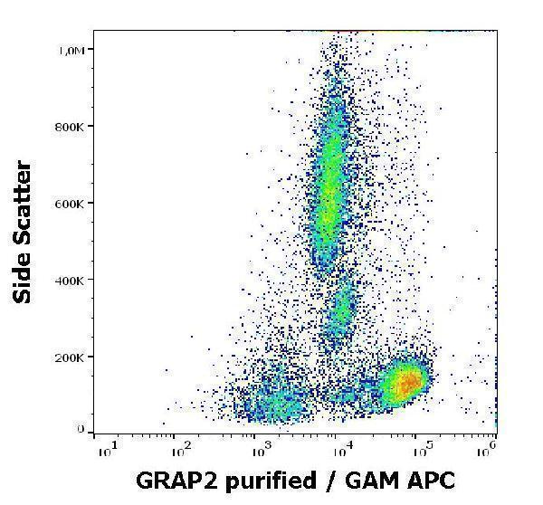 Flow cytometry intracellular staining pattern of human peripheral whole blood using anti-GRAP2 (UW40) purified antibody (concentration in sample 5 µg/ml, GAM APC)