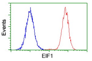 m04125 1 anti eif1 mouse monoclonal antibody clone id oti2b9 flow cytometry testing 5