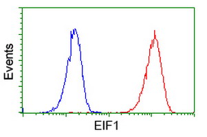 m04125 1 anti eif1 mouse monoclonal antibody clone id oti2b9 flow cytometry testing 6