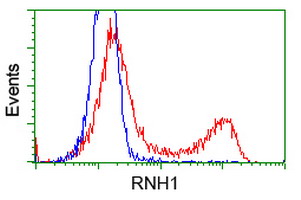 m04147 1 anti ribonuclease inhibitor rnh1 mouse monoclonal antibody clone id oti3f11 flow cytometry testing 13