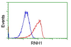 m04147 1 anti ribonuclease inhibitor rnh1 mouse monoclonal antibody clone id oti3f11 flow cytometry testing 14