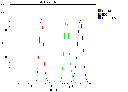m04157 1 etf1_erf1 primary antibodies fcm testing 11