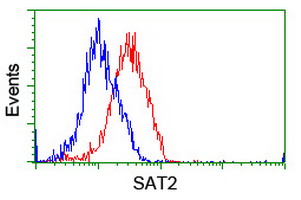m04174 anti sat2 mouse monoclonal antibody clone id oti1c9 flow cytometry testing 10